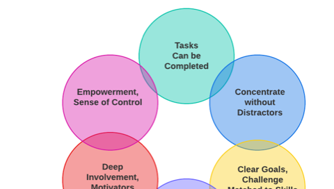 precision experience